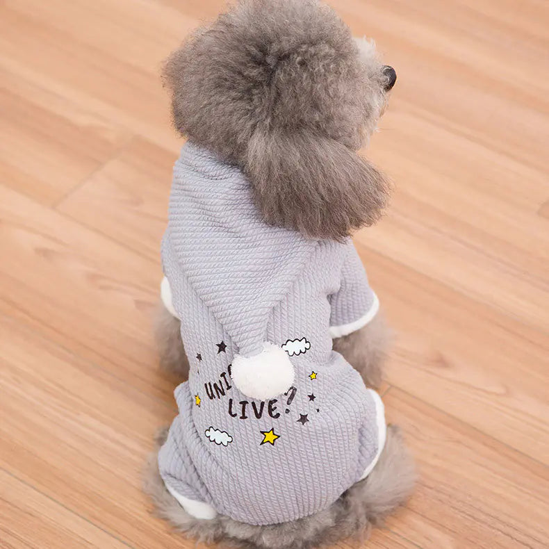 Padded Boxer for Pets