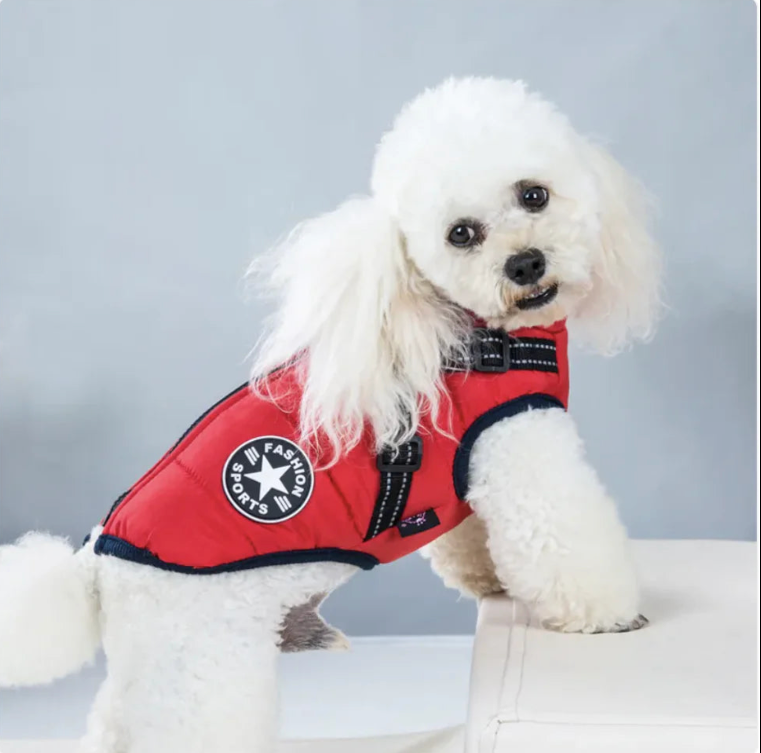 Winter Warm Hooded Coat for Small Dogs and Cats