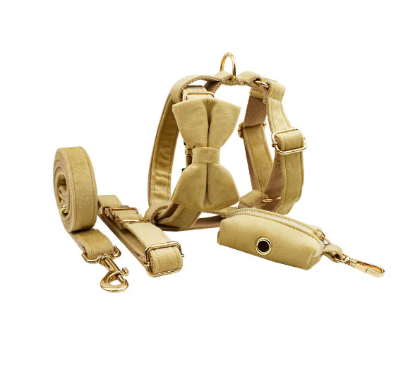 Velvet Fabric Dog Collar