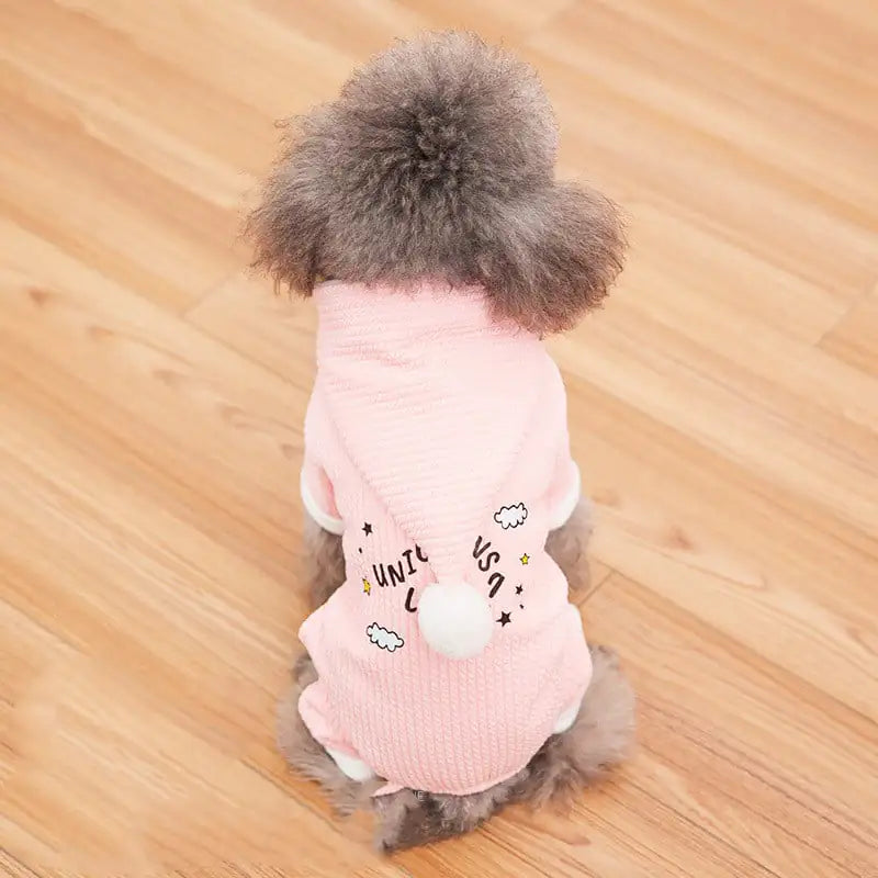 Padded Boxer for Pets