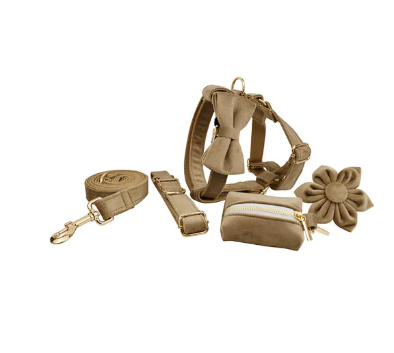 Velvet Fabric Dog Collar